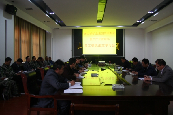 集团公司第三产业管理部组织《员工奖惩办法》学习会 (1).JPG